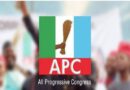 LG Polls: Open Letter to Lagos APC Leadership and a Call for Accountability in Governance