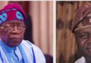 Stay Focused, Ignore Political Opportunists, Bolarinwa Tells Tinubu