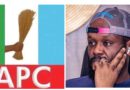 APC Spokesman Oladejo Says Seyi Tinubu Qualified to Run for Lagos Governorship Seat