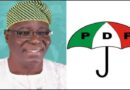 Lagos PDP Holds LG Primary, Vows to Contest Elections in 57 Councils