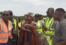 Lagos Set to Reverse Fish Importation, Collaborates with DULA Agro Services on Aquaculture Hub