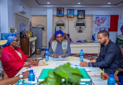 NEMA, SEDC EXPLORE STRATEGIC PARTNERSHIP ON DISASTER MANAGEMENT IN SOUTH EAST