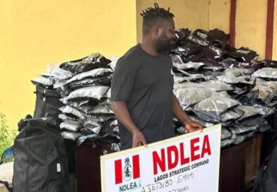 Drug War: Warri Kinsman Nabbed by NDLEA Over Alleged Importation of 414.2kg Cannabis Sativa to Lagos