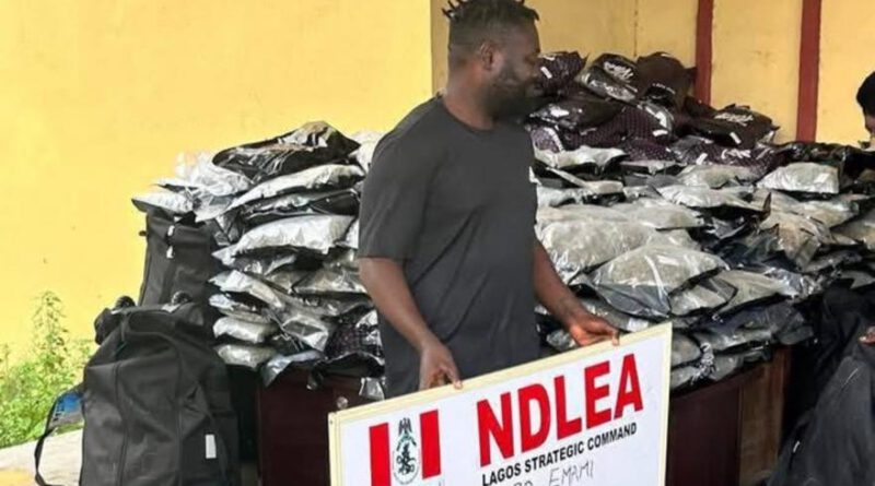 Drug War: Warri Kinsman Nabbed by NDLEA Over Alleged Importation of 414.2kg Cannabis Sativa to Lagos