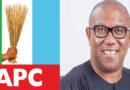 Lagos APC Blasts Peter Obi’s “Killing Field” Allegation; Military Record Proves Remarkable Progress Under Tinubu