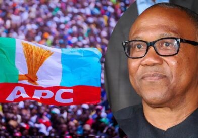 Lagos APC to Peter Obi: “Stop Jubilating Over Nigeria’s Challenges – Patriotism Is Not Selective Outrage” Lagos APC to Peter Obi: “Stop Jubilating Over Nigeria’s Challenges – Patriotism Is Not Selective Outrage”