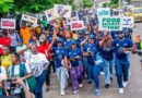 World Food Day: Lagos Promises Sustainable, Resilient Food System