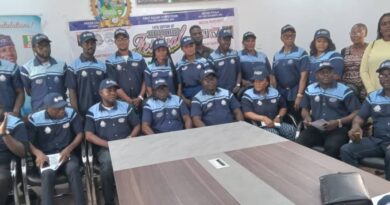 Agbado Oke-Odo Set for Colourful 14th Festival, Celebrating Talent, Unity, and Good Character