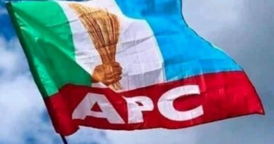 Lagos APC to Nigerians: The Storm Will Break – The Saboteurs Will Fail Lagos APC to Nigerians: The Storm Will Break – The Saboteurs Will Fail