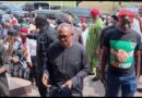 The Gathering of the Disgruntled: Obi Enters Nigeria’s Coalition of Chaos – Lagos APC The Gathering of the Disgruntled: Obi Enters Nigeria’s Coalition of Chaos – Lagos APC