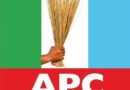 Lagos APC Set for Rancour-Free Local Government Congress as New Executives Emerge