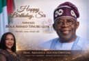 Adunni Hails Tinubu’s Leadership on Birthday, Praises Reforms and Global Recognition