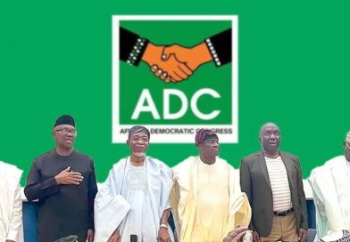 ADC Clutching at Straws Over Tinubu’s “Democracy Is a Game” Comment