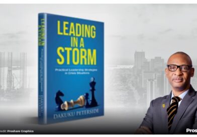 Book Review – LEADING IN A STORM: Practical Leadership Strategies in Crisis Situations Book Review – LEADING IN A STORM: Practical Leadership Strategies in Crisis Situations
