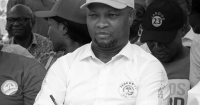 Lagos Diaspora Community Endorses Jandor for 2027 Lagos Governorship Race