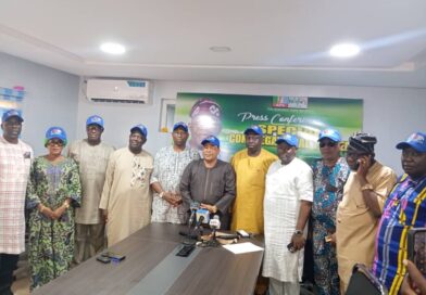 2027: Lagos Group Rallies Massive Support for Tinubu, Endorses Hamzat for Governor