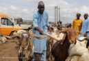 Ikeja LG Chairman Dauda Celebrates Eid-el-Kabir with Residents, Stakeholders Through Gift Distribution Ikeja LG Chairman Dauda Celebrates Eid-el-Kabir with Residents, Stakeholders Through Gift Distribution