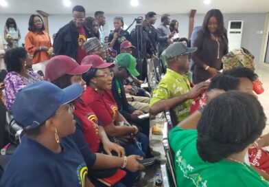 Lagos Tackles Food Security Challenge with Innovation, Technology, Private Sector Collaboration — Olusanya Lagos Tackles Food Security Challenge with Innovation, Technology, Private Sector Collaboration — Olusanya