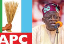Governors vs APC Stakeholders: Civil War That Could Sink Party Before 2027
