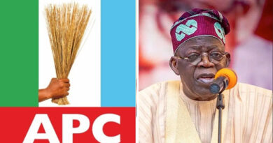 Governors vs APC Stakeholders: Civil War That Could Sink Party Before 2027 Governors vs APC Stakeholders: Civil War That Could Sink Party Before 2027