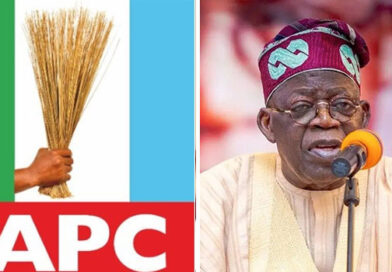 Governors vs APC Stakeholders: Civil War That Could Sink Party Before 2027 Governors vs APC Stakeholders: Civil War That Could Sink Party Before 2027