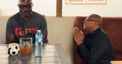 Of Isaac Fayose’s Sneeze and Peter Obi’s Cold: Nigeria Says No to Leadership That Panics Of Isaac Fayose’s Sneeze and Peter Obi’s Cold: Nigeria Says No to Leadership That Panics