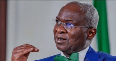 A Tribute to Excellence: Babatunde Raji Fashola (SAN) – “The Actualizer of Our Vision” A Tribute to Excellence: Babatunde Raji Fashola (SAN) – “The Actualizer of Our Vision”