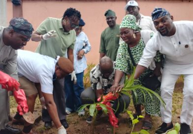 IKEJA LOCAL GOVERNMENT JOINS LAGOS STATE’S 2026 TREE PLANTING CAMPAIGN, REAFFIRMS COMMITMENT TO A GREENER ENVIRONMENT IKEJA LOCAL GOVERNMENT JOINS LAGOS STATE’S 2026 TREE PLANTING CAMPAIGN, REAFFIRMS COMMITMENT TO A GREENER ENVIRONMENT