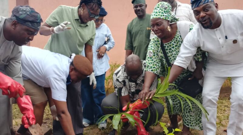IKEJA LOCAL GOVERNMENT JOINS LAGOS STATE’S 2026 TREE PLANTING CAMPAIGN, REAFFIRMS COMMITMENT TO A GREENER ENVIRONMENT IKEJA LOCAL GOVERNMENT JOINS LAGOS STATE’S 2026 TREE PLANTING CAMPAIGN, REAFFIRMS COMMITMENT TO A GREENER ENVIRONMENT