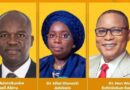 Lagos APC Senatorial Candidates: Experience, Competence and Performance on Parade